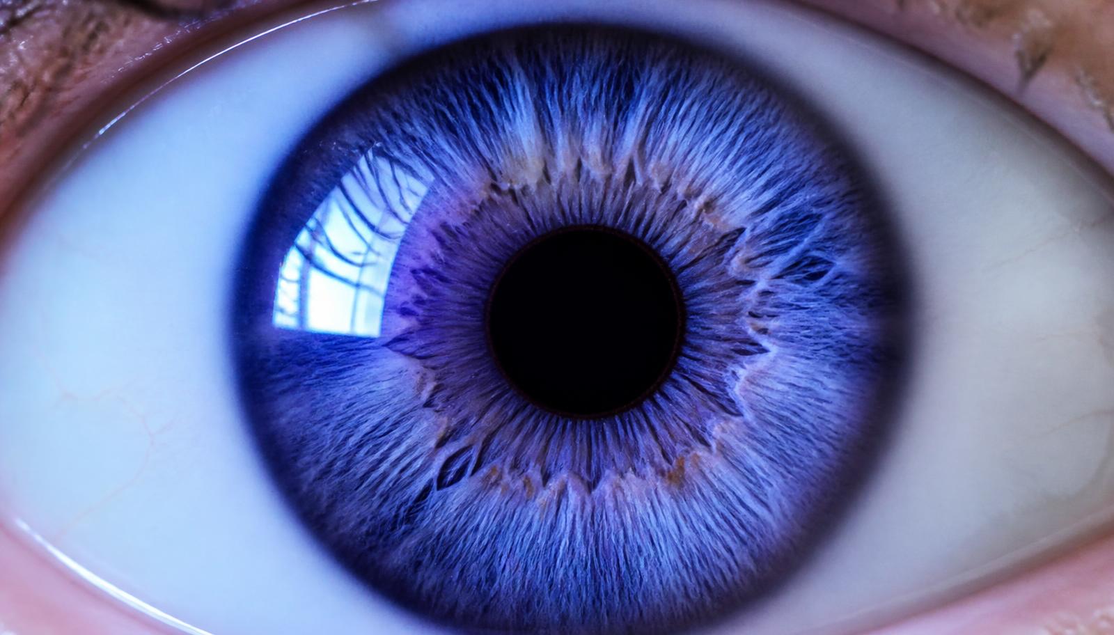 Macro photograph of a human iris
